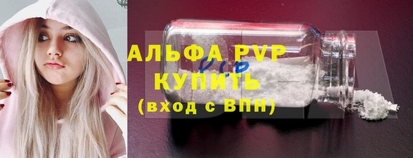 стаф Снежногорск