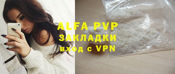 стаф Снежногорск