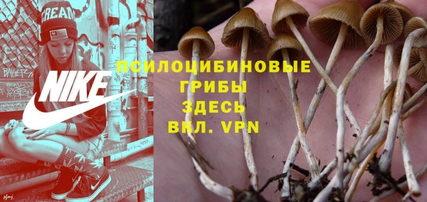 стаф Снежногорск