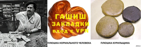 стаф Снежногорск